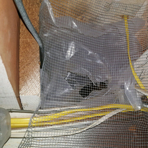 Our Rat/Rodent Exclusion Mesh